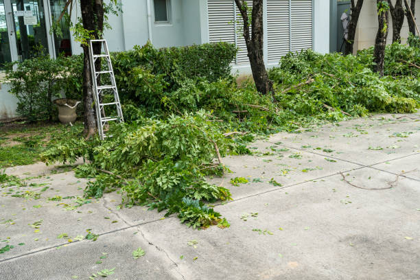 Best Storm Damage Tree Cleanup  in Pickens, SC